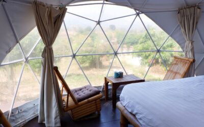 Our Great Domes