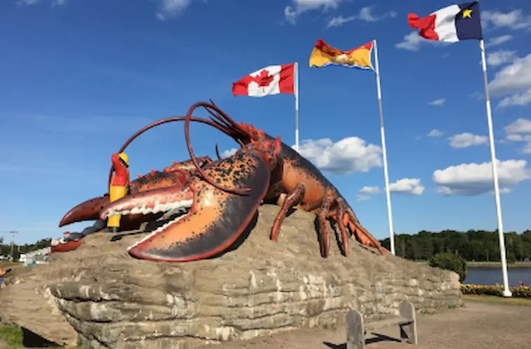 big lobster