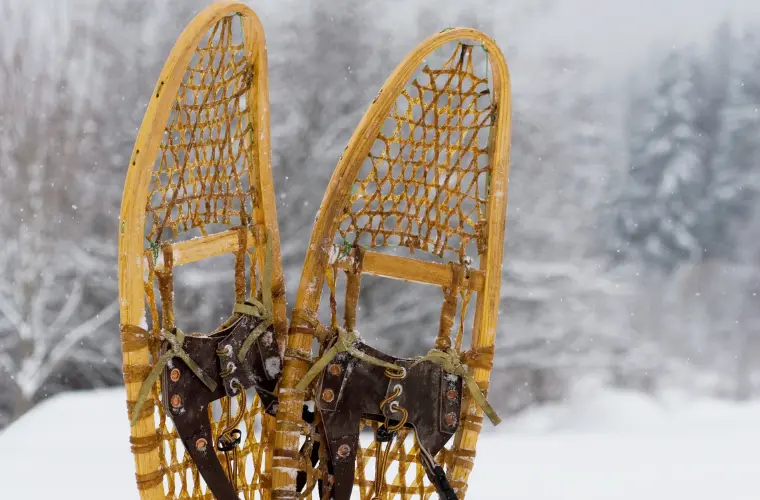 snowshoe
